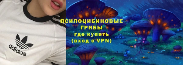 2c-b Вяземский