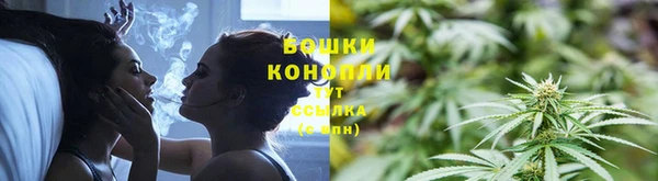 гашик Вязьма