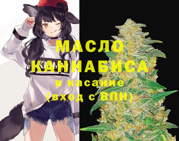 гашик Вязьма