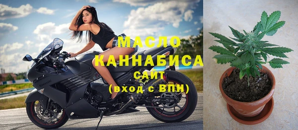 гашик Вязьма