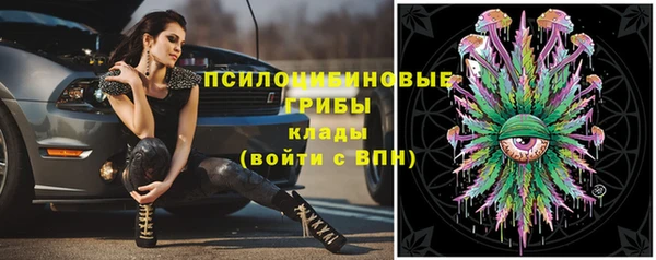 гашик Вязьма