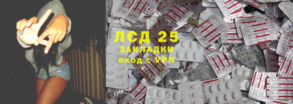 гашик Вязьма