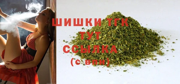 гашик Вязьма