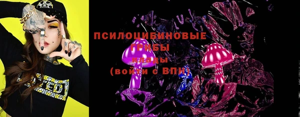 гашик Вязьма